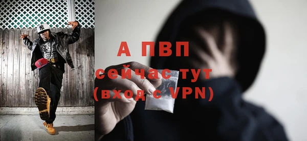 прущие грибы Дмитриев