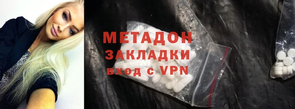 прущие грибы Дмитриев