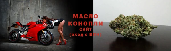 прущие грибы Дмитриев
