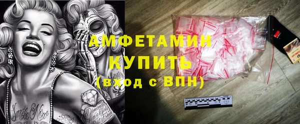 прущие грибы Дмитриев