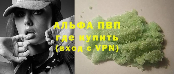прущие грибы Дмитриев