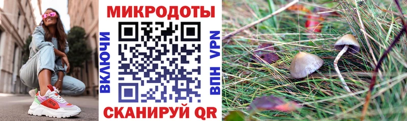 Псилоцибиновые грибы мухоморы  Купить где  Верхняя Салда 